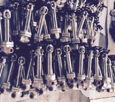 DZ41Y、DZ61Y低溫鍛鋼閘閥